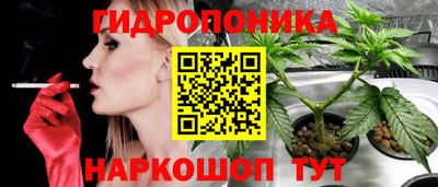 стафф Ликино-Дулёво