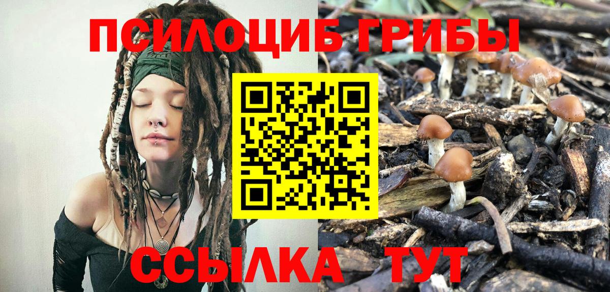 Псилоцибиновые грибы Cubensis Копейск