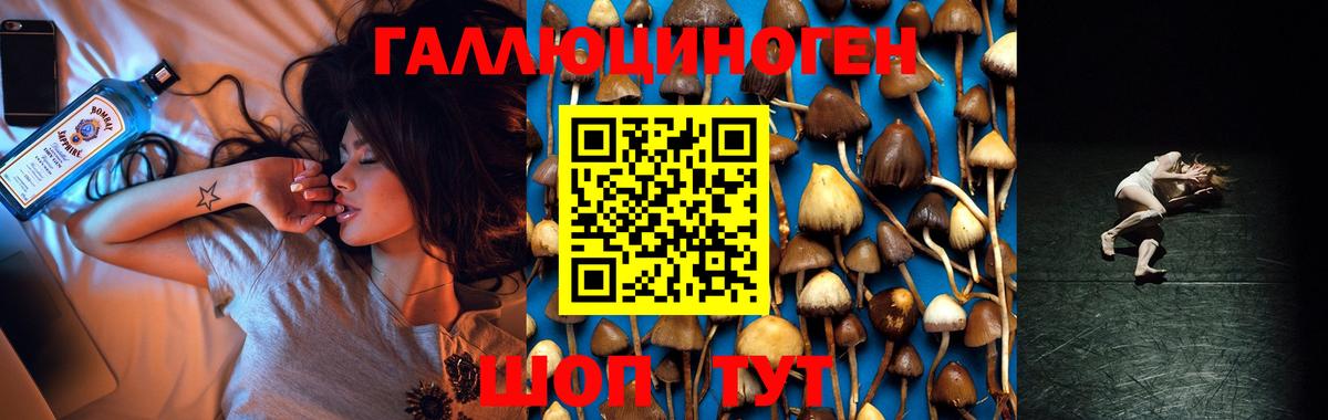 Копейск  даркнет сайт  Вход с VPN  Псилоцибиновые грибы мицелий  Псилоцибиновые грибы GOLDEN TEACHER 